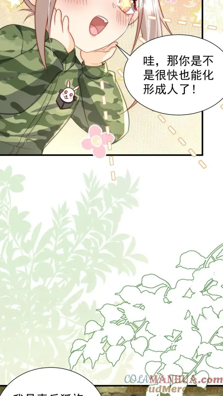 漫画《团宠萌宝：四岁小师傅下山了》第285话 白狐说话第13张图