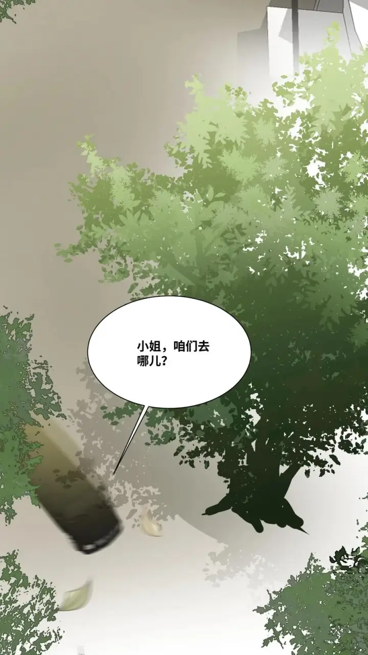 漫画《团宠萌宝：四岁小师傅下山了》第28话 小师妹成土豪了第8张图