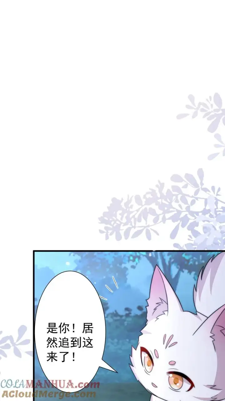 漫画《团宠萌宝：四岁小师傅下山了》第291话 月黑风高杀人夜第19张图