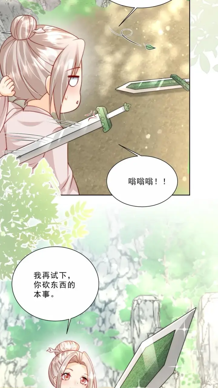 漫画《团宠萌宝：四岁小师傅下山了》第304话 一剑碎山河第10张图