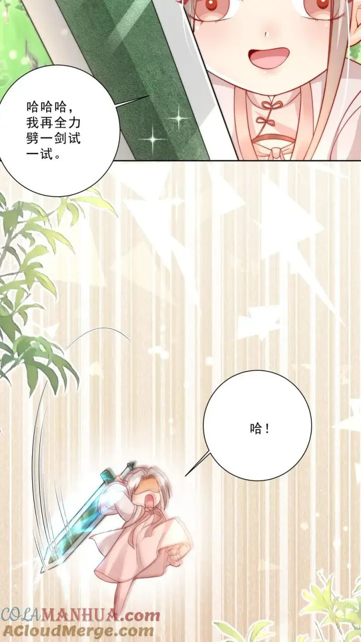 漫画《团宠萌宝：四岁小师傅下山了》第304话 一剑碎山河第15张图