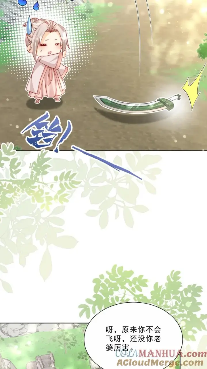 漫画《团宠萌宝：四岁小师傅下山了》第304话 一剑碎山河第9张图