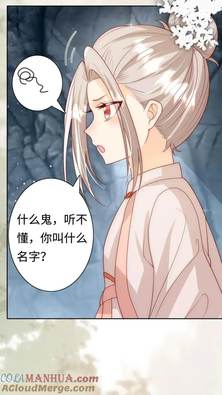 漫画《团宠萌宝：四岁小师傅下山了》第307话 凤不是凤凰第11张图