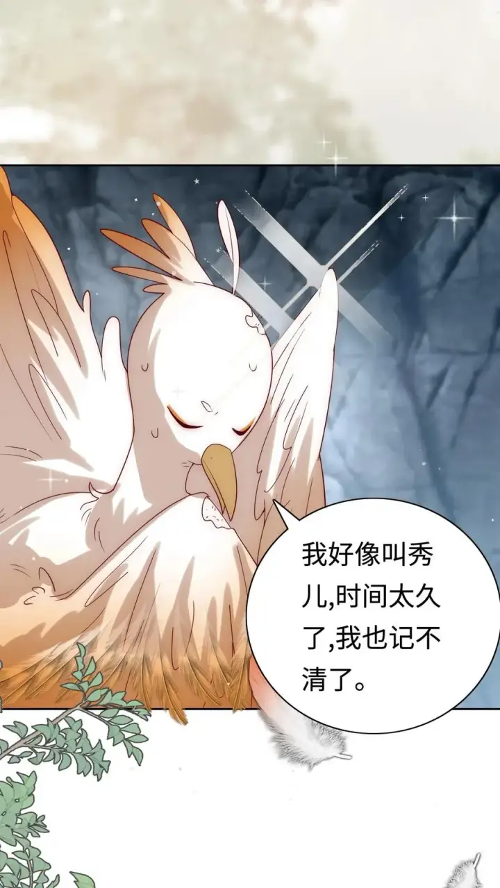 漫画《团宠萌宝：四岁小师傅下山了》第307话 凤不是凤凰第12张图