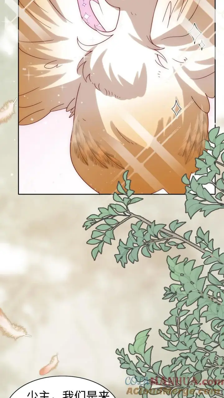 漫画《团宠萌宝：四岁小师傅下山了》第307话 凤不是凤凰第23张图