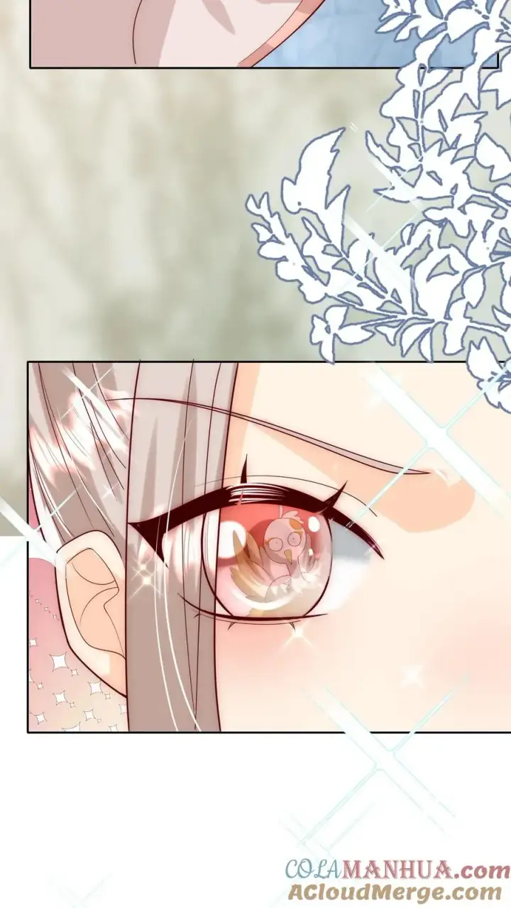 漫画《团宠萌宝：四岁小师傅下山了》第307话 凤不是凤凰第27张图