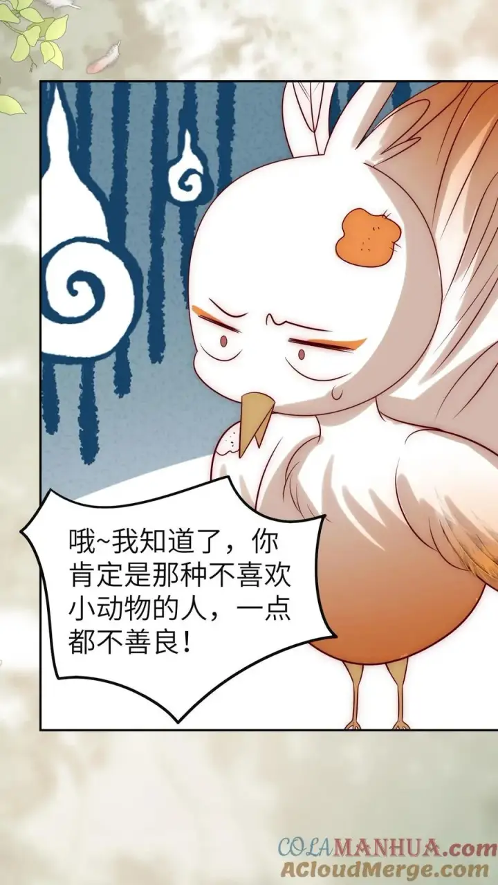 漫画《团宠萌宝：四岁小师傅下山了》第307话 凤不是凤凰第31张图