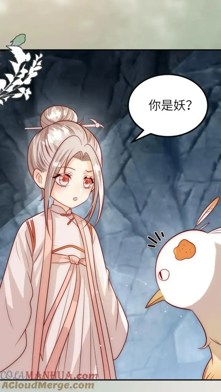漫画《团宠萌宝：四岁小师傅下山了》第307话 凤不是凤凰第5张图