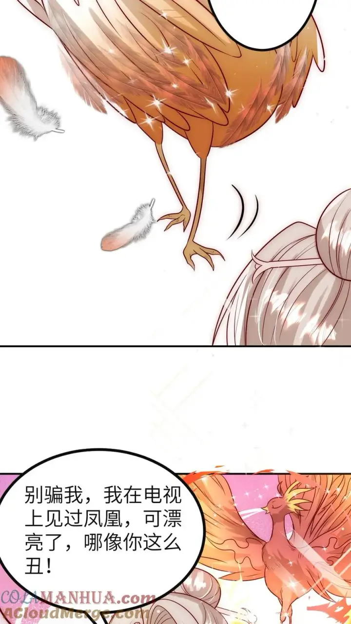 漫画《团宠萌宝：四岁小师傅下山了》第307话 凤不是凤凰第7张图