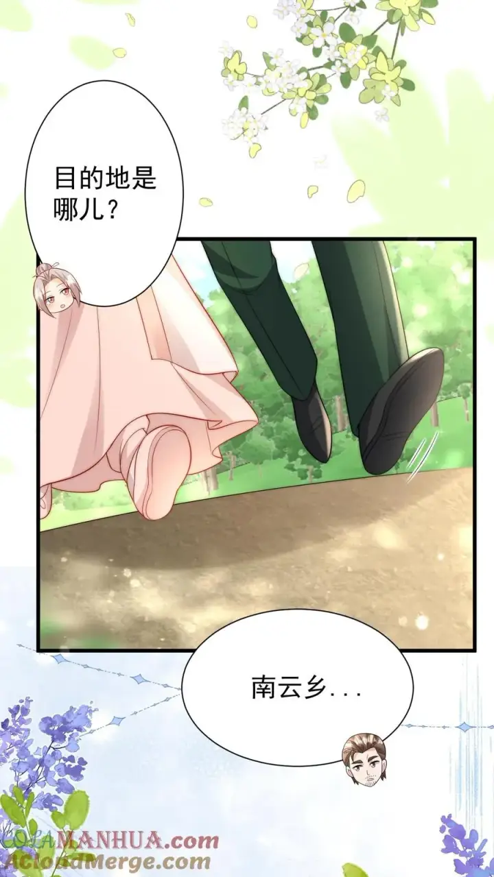 漫画《团宠萌宝：四岁小师傅下山了》第309话 再次南云乡第11张图