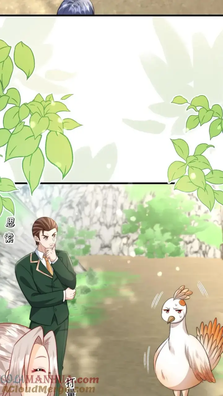 漫画《团宠萌宝：四岁小师傅下山了》第309话 再次南云乡第3张图