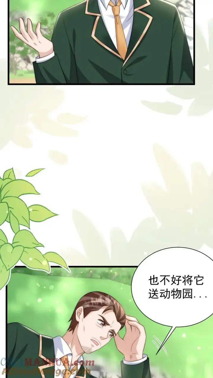 漫画《团宠萌宝：四岁小师傅下山了》第309话 再次南云乡第5张图