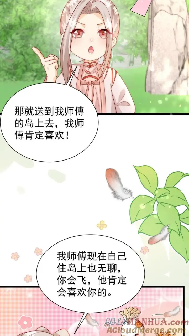 漫画《团宠萌宝：四岁小师傅下山了》第309话 再次南云乡第7张图