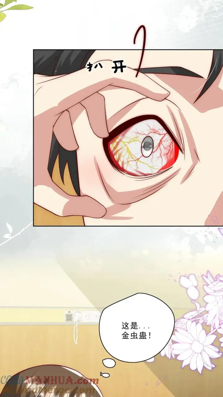 漫画《团宠萌宝：四岁小师傅下山了》第310话 金虫蛊第17张图