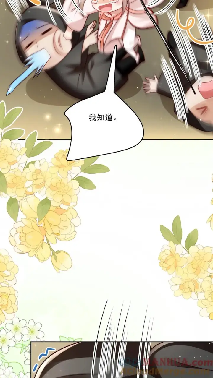漫画《团宠萌宝：四岁小师傅下山了》第312话 天书第六页第11张图