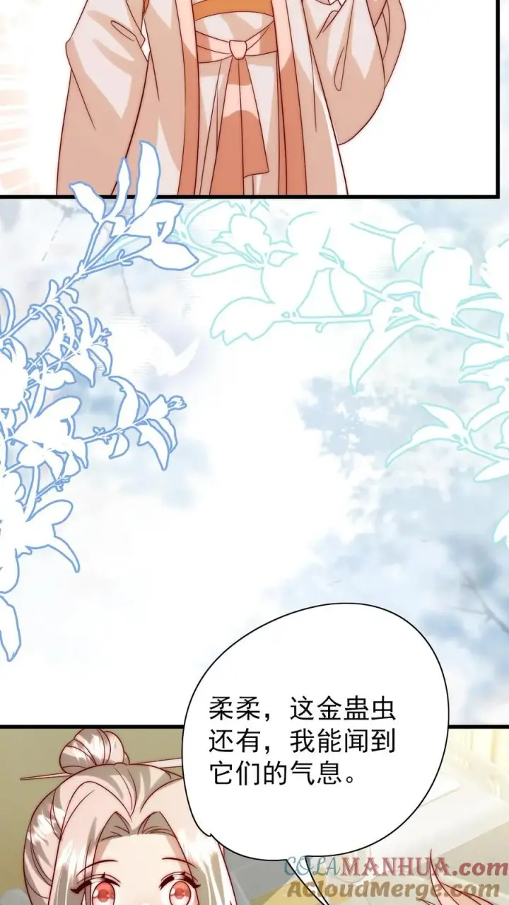 漫画《团宠萌宝：四岁小师傅下山了》第313话 高效杀虫术第13张图