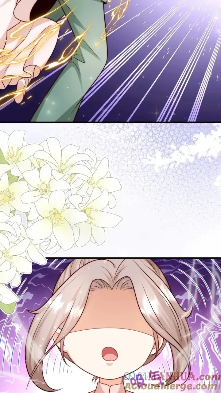 漫画《团宠萌宝：四岁小师傅下山了》第317话 吊打北冥神功第39张图