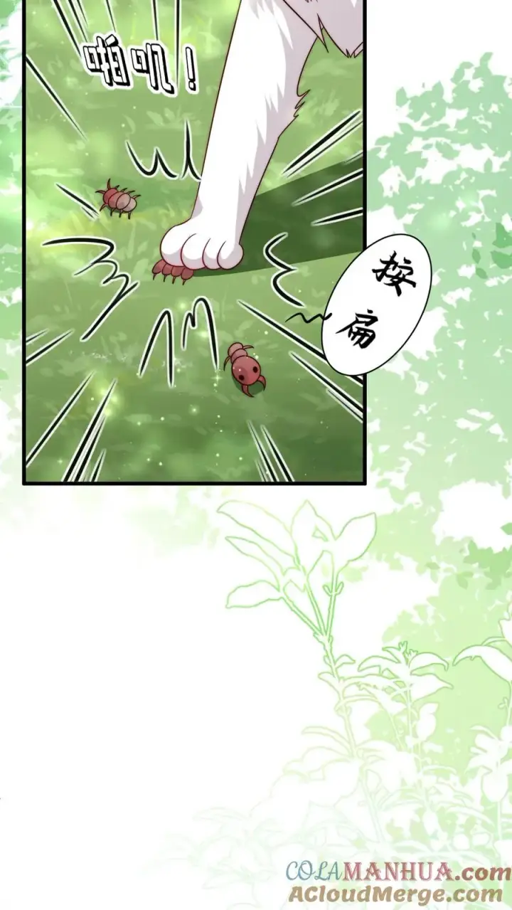 漫画《团宠萌宝：四岁小师傅下山了》第337话 巫族第15张图