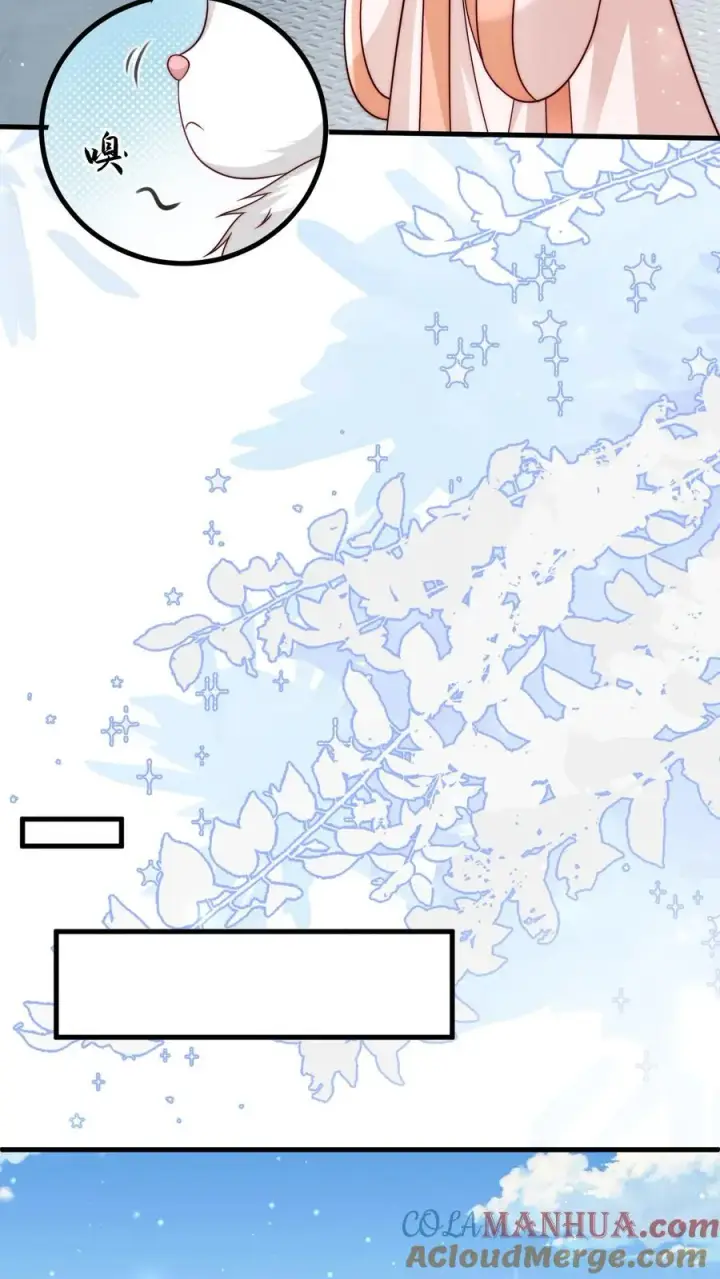 漫画《团宠萌宝：四岁小师傅下山了》第337话 巫族第7张图