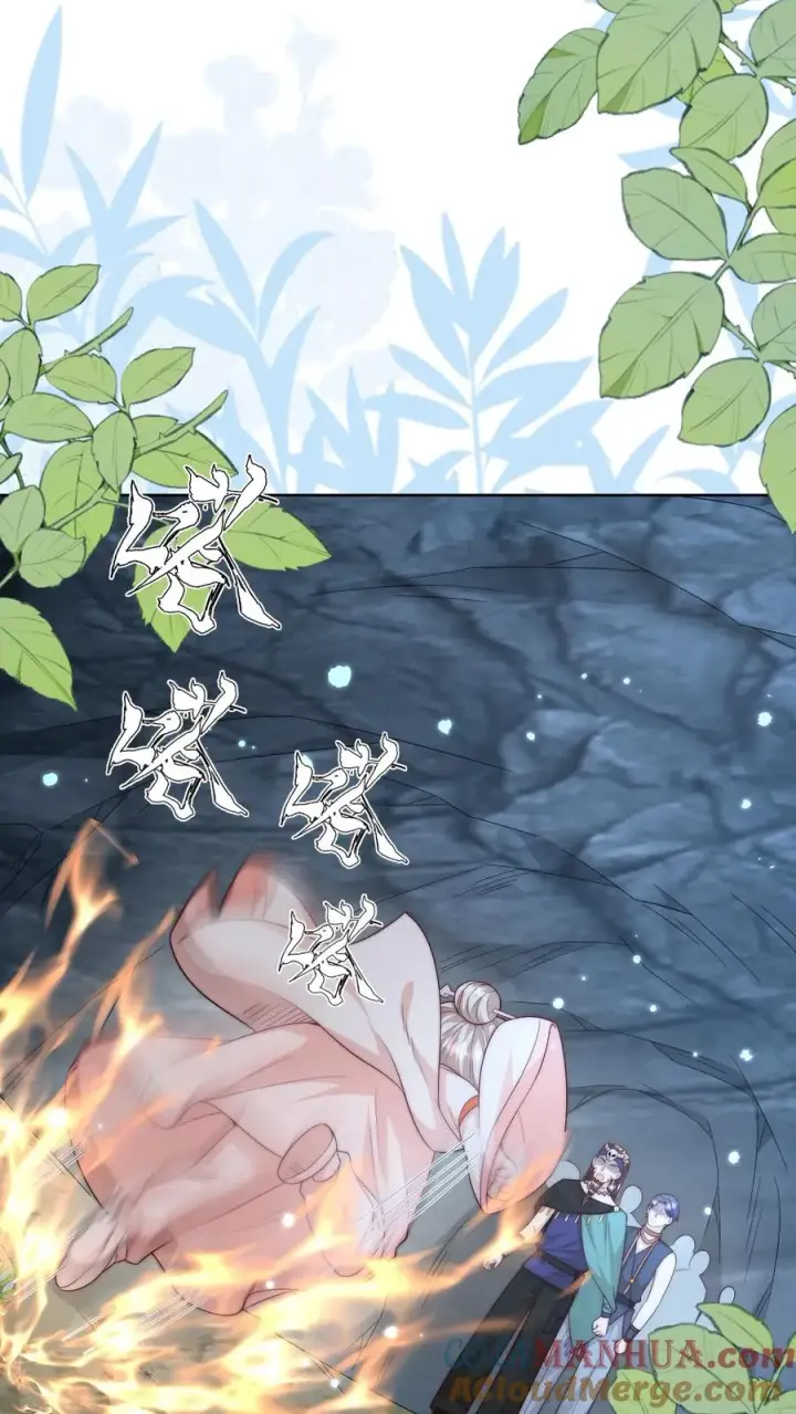 漫画《团宠萌宝：四岁小师傅下山了》第338话 雨柔女侠第5张图