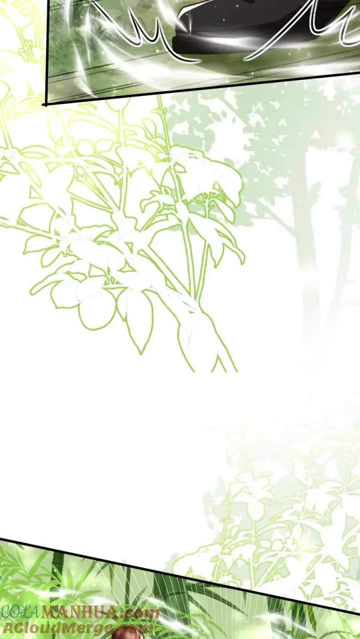 漫画《团宠萌宝：四岁小师傅下山了》第341话 严谨的柔柔第19张图