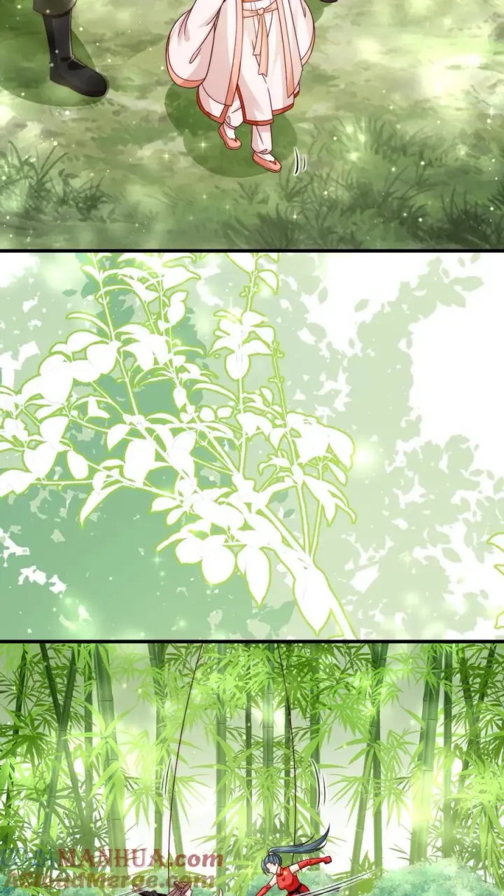 漫画《团宠萌宝：四岁小师傅下山了》第341话 严谨的柔柔第3张图