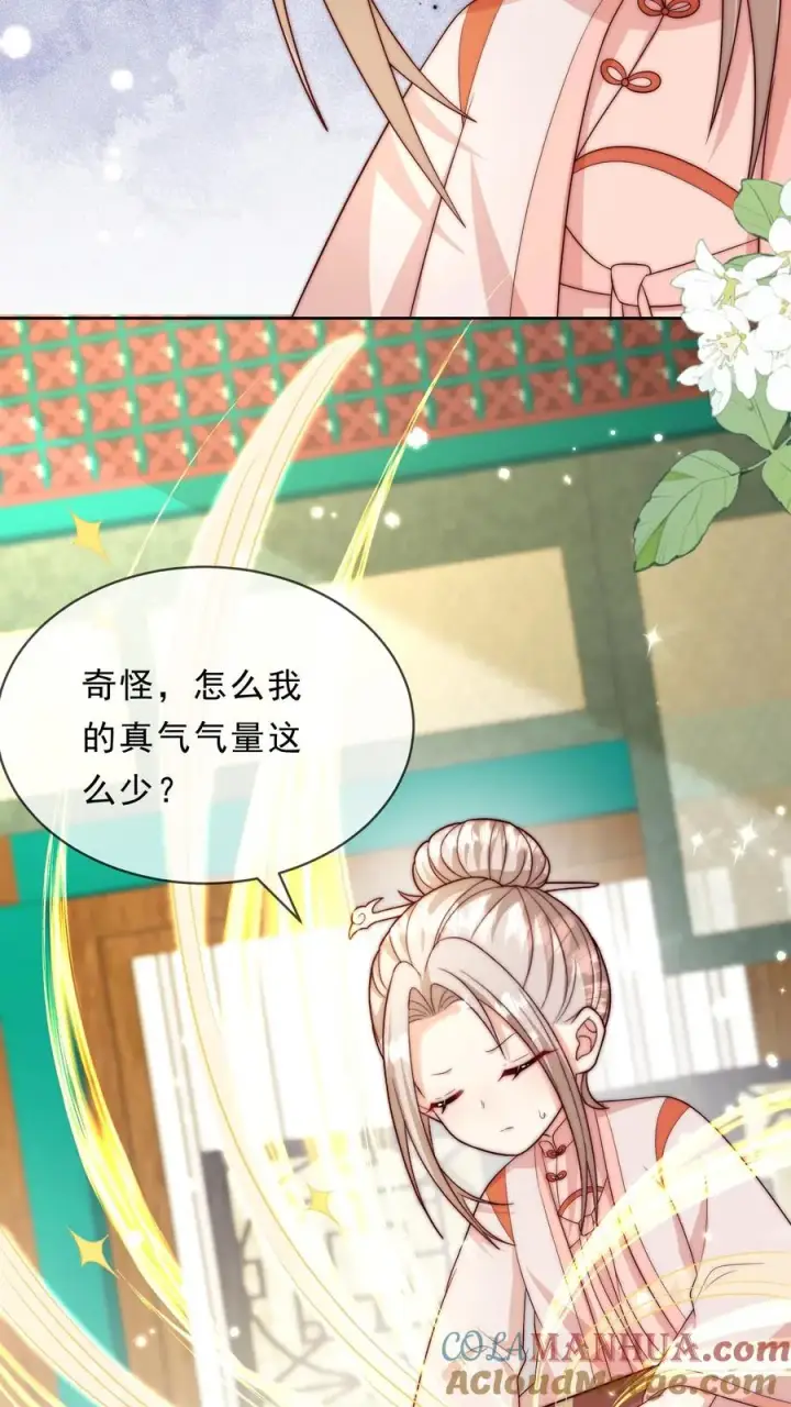 漫画《团宠萌宝：四岁小师傅下山了》第344话 总有刁民想害朕第27张图