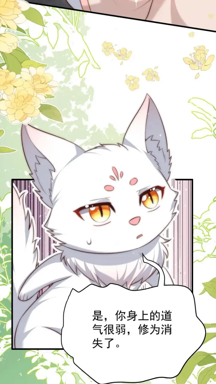 漫画《团宠萌宝：四岁小师傅下山了》第345话 柔柔修为尽失第18张图