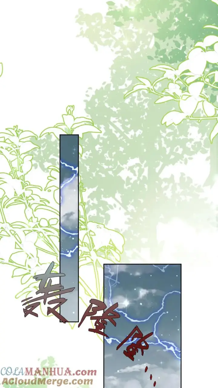 漫画《团宠萌宝：四岁小师傅下山了》第346话 永远的宝贝第23张图