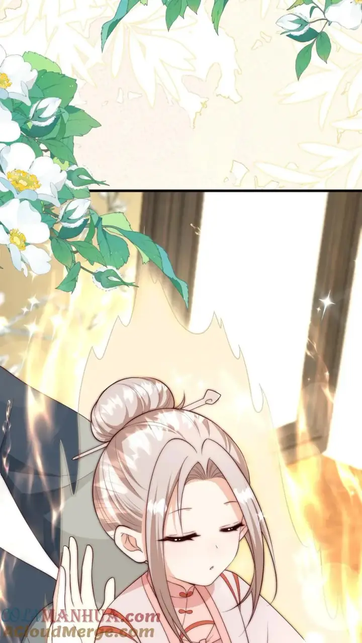 漫画《团宠萌宝：四岁小师傅下山了》第347话 被偷家第29张图