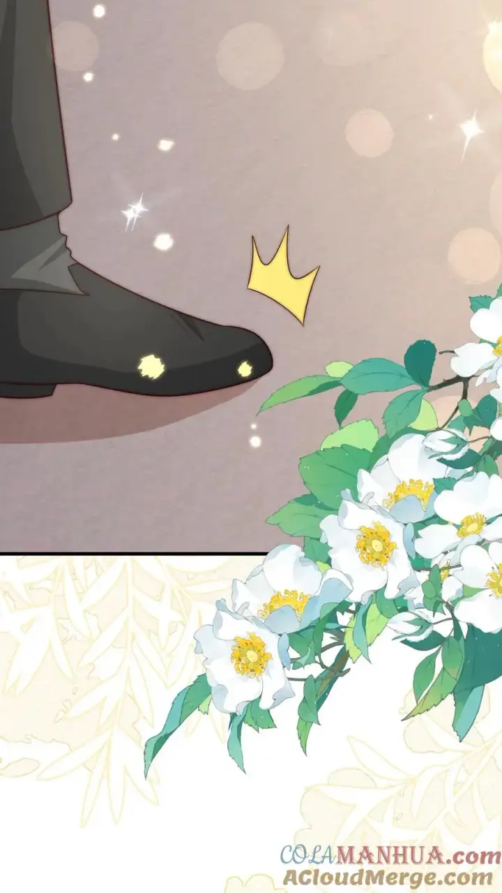 漫画《团宠萌宝：四岁小师傅下山了》第347话 被偷家第33张图