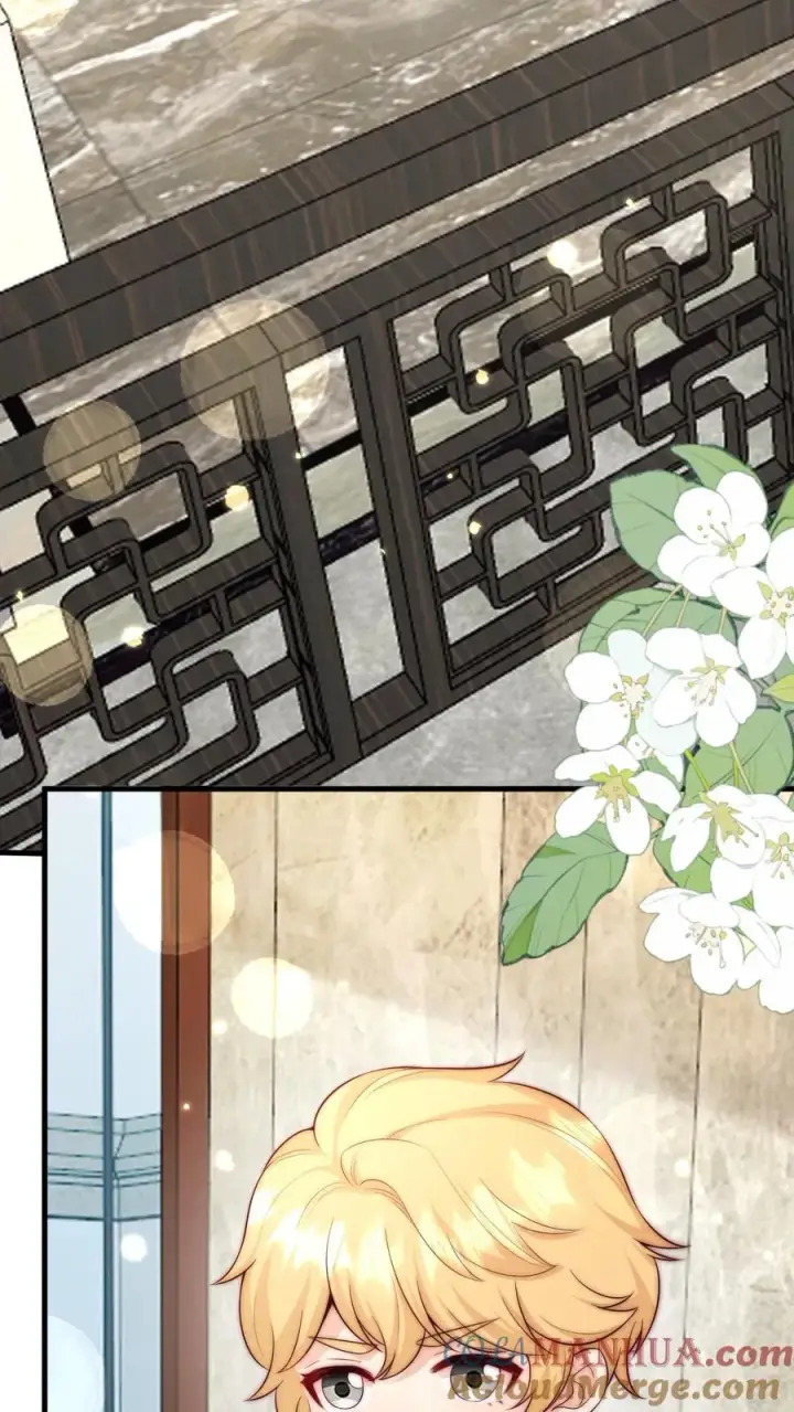 漫画《团宠萌宝：四岁小师傅下山了》第347话 被偷家第5张图