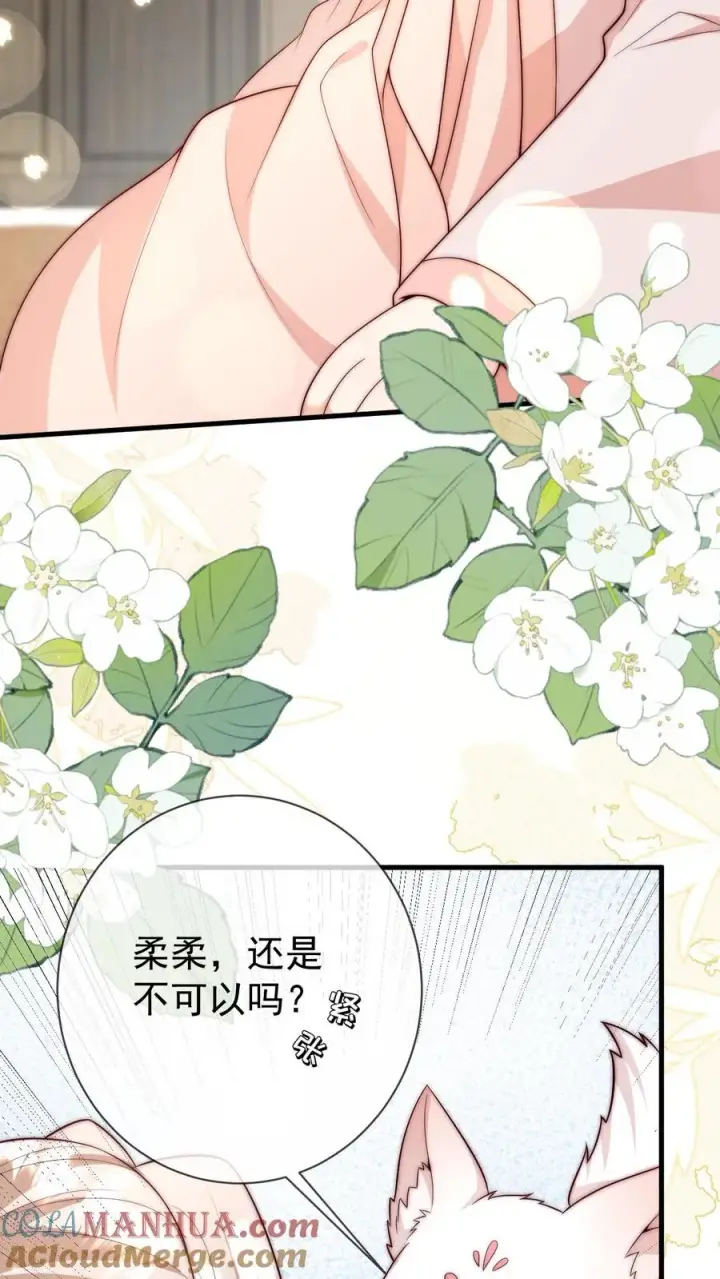 漫画《团宠萌宝：四岁小师傅下山了》第347话 被偷家第9张图