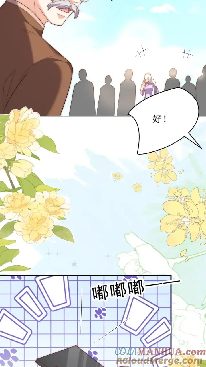 漫画《团宠萌宝：四岁小师傅下山了》第348话 一个不留第9张图