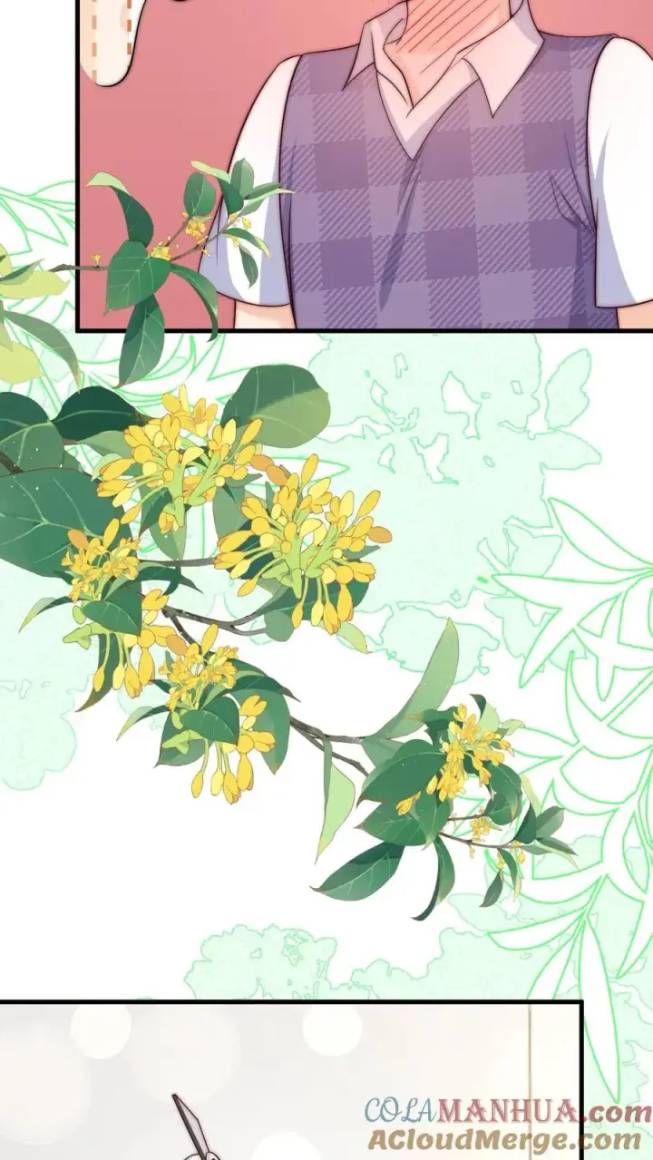 漫画《团宠萌宝：四岁小师傅下山了》第349话 白芷亲亲？！第23张图