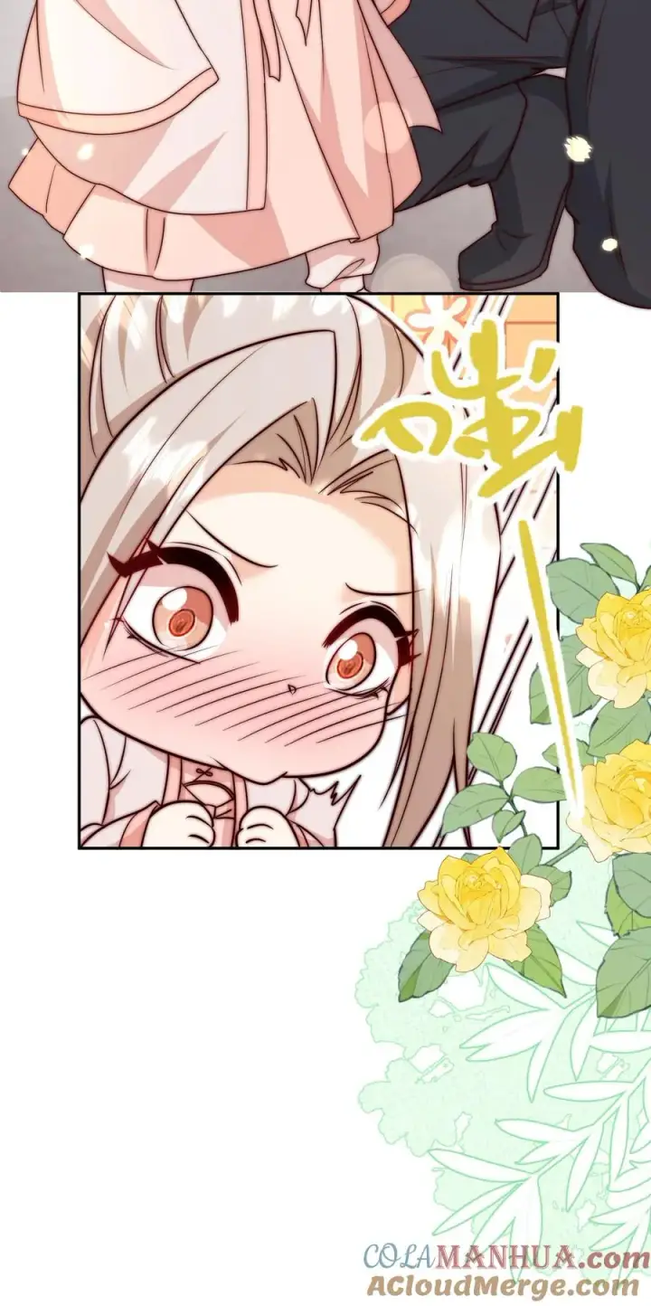 漫画《团宠萌宝：四岁小师傅下山了》第350话 尘埃落定第29张图