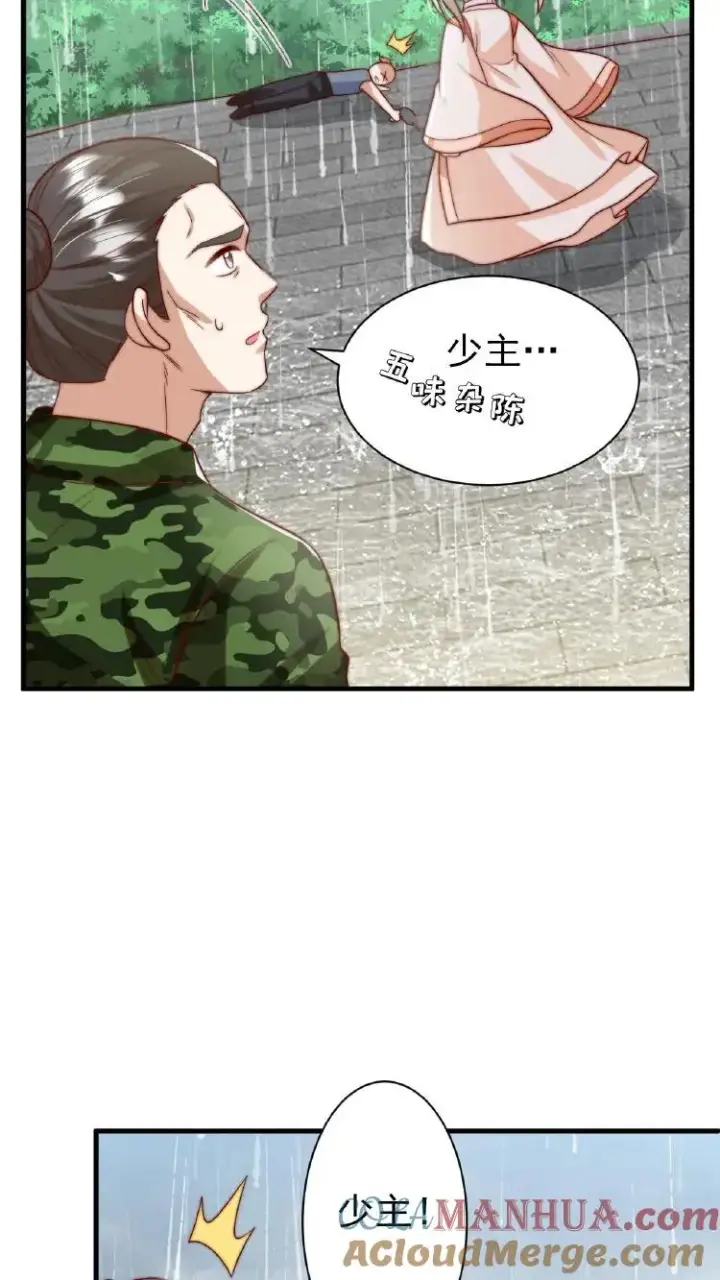 漫画《团宠萌宝：四岁小师傅下山了》第353话 吃不饱饭的杀手第27张图