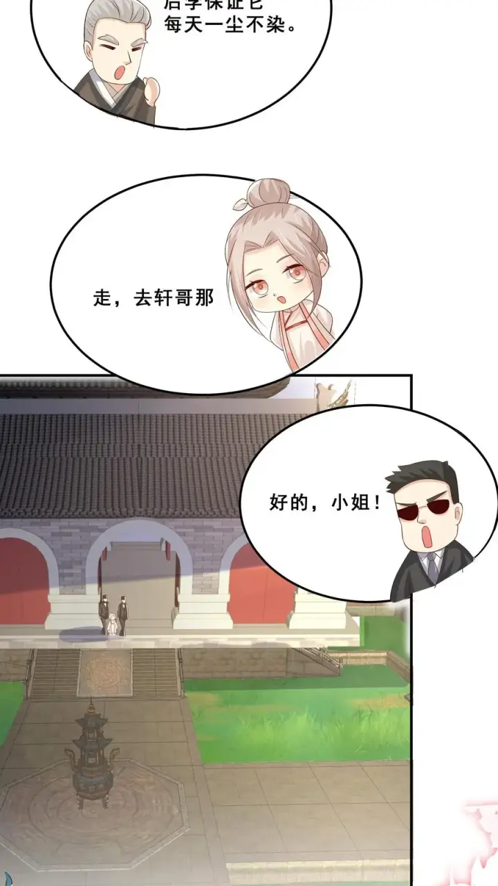 漫画《团宠萌宝：四岁小师傅下山了》第36话 雷厉风行第20张图
