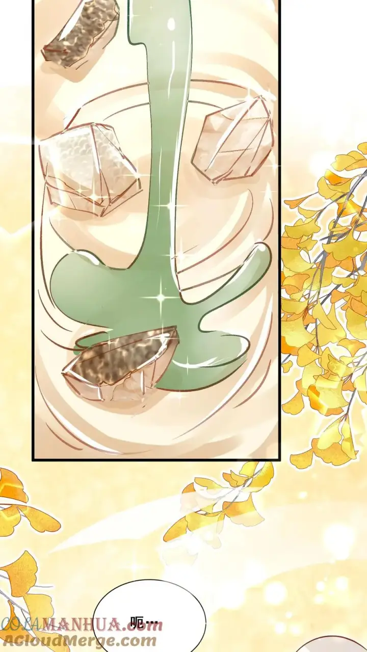 漫画《团宠萌宝：四岁小师傅下山了》第48话 吃货？全被小姐带偏第21张图