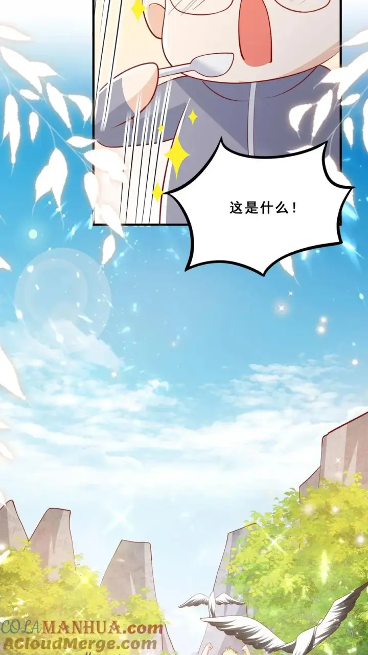 漫画《团宠萌宝：四岁小师傅下山了》第49话 抱大腿？只是馋厨艺第13张图
