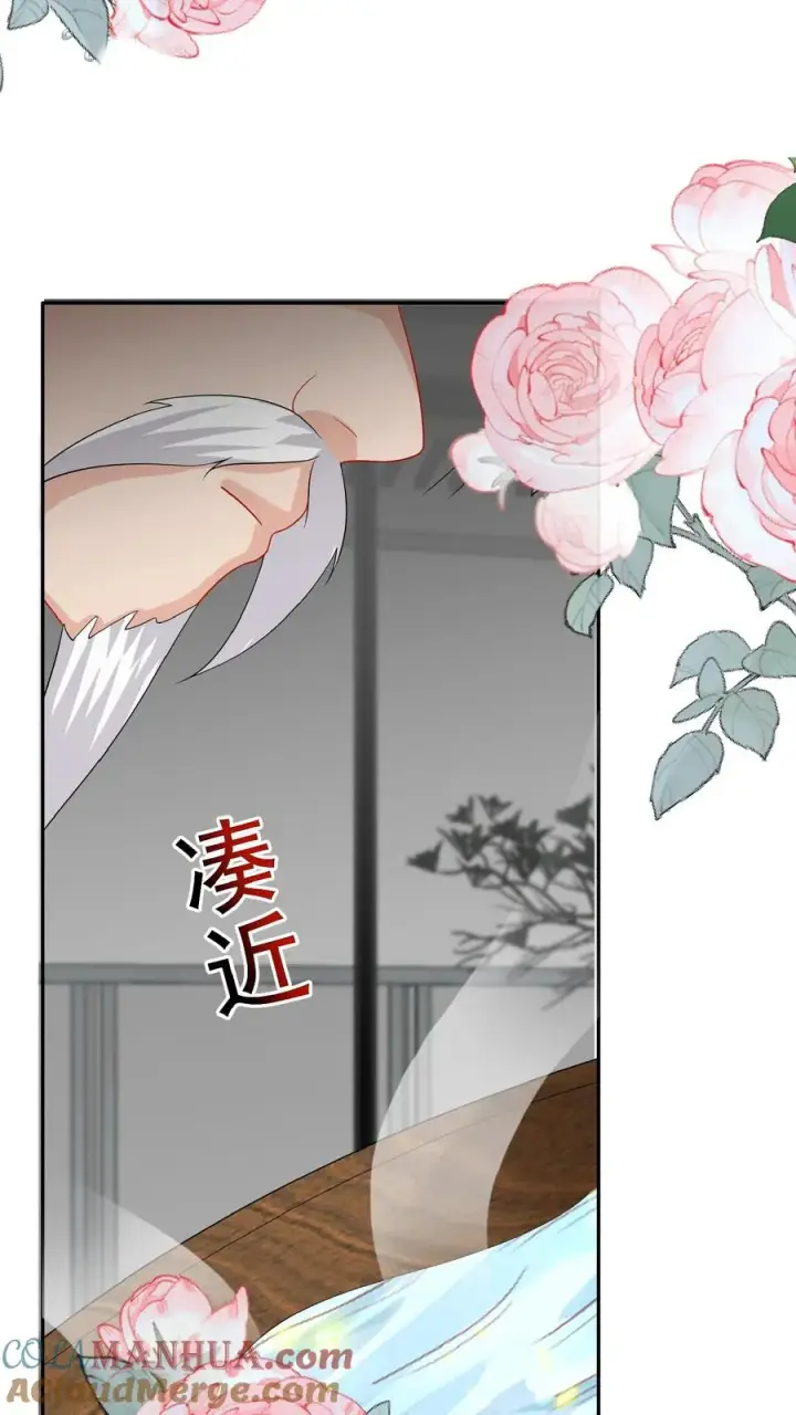 漫画《团宠萌宝：四岁小师傅下山了》第51话 狂喝洗澡水第19张图