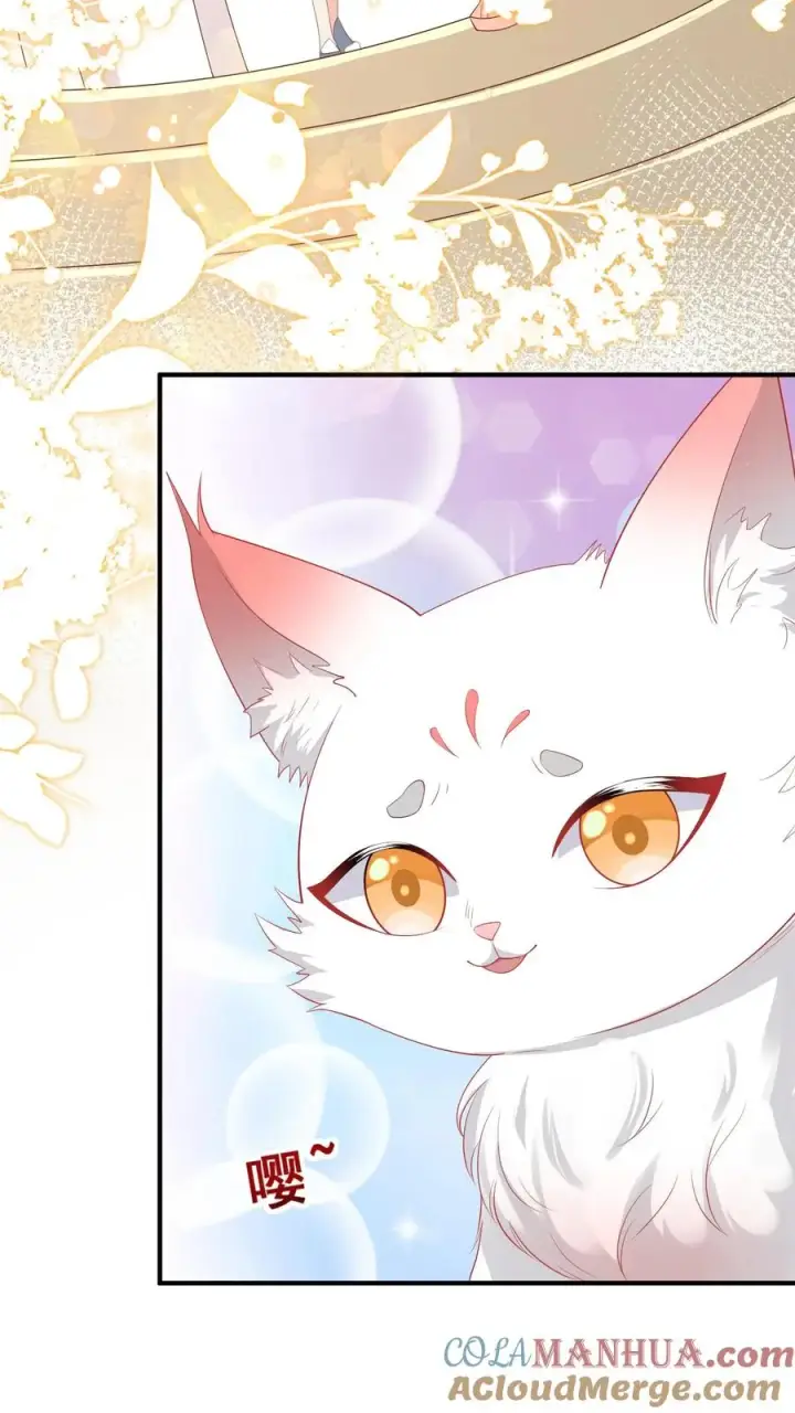 漫画《团宠萌宝：四岁小师傅下山了》第56话 小白狐灵儿第17张图