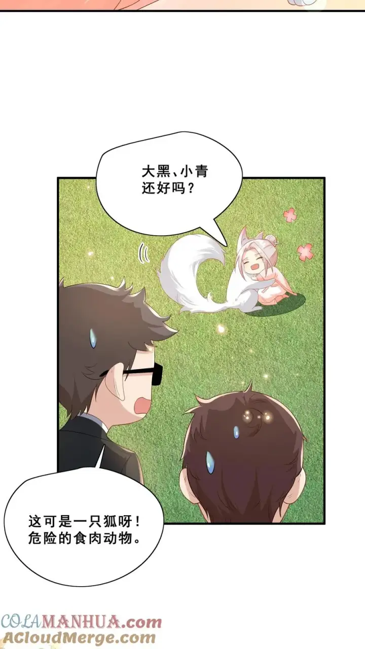 漫画《团宠萌宝：四岁小师傅下山了》第56话 小白狐灵儿第19张图