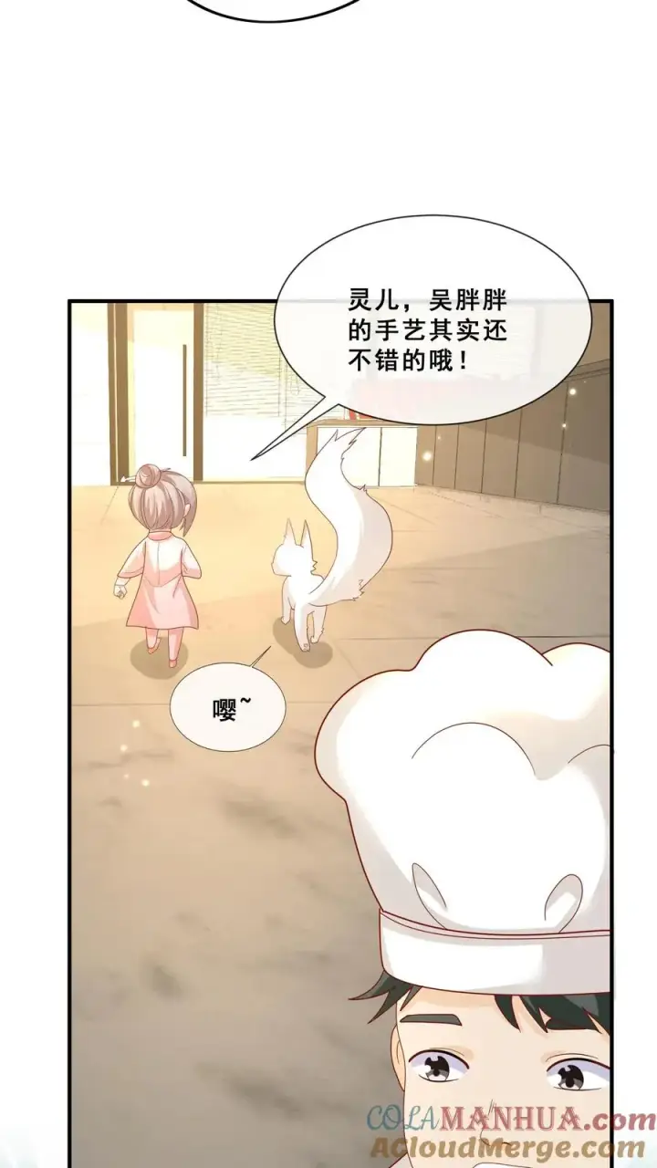 漫画《团宠萌宝：四岁小师傅下山了》第56话 小白狐灵儿第27张图