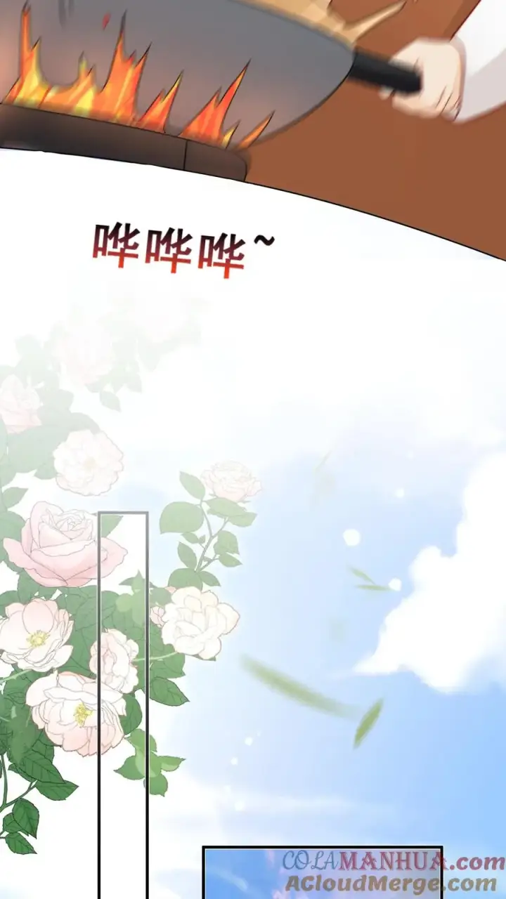 漫画《团宠萌宝：四岁小师傅下山了》第56话 小白狐灵儿第29张图