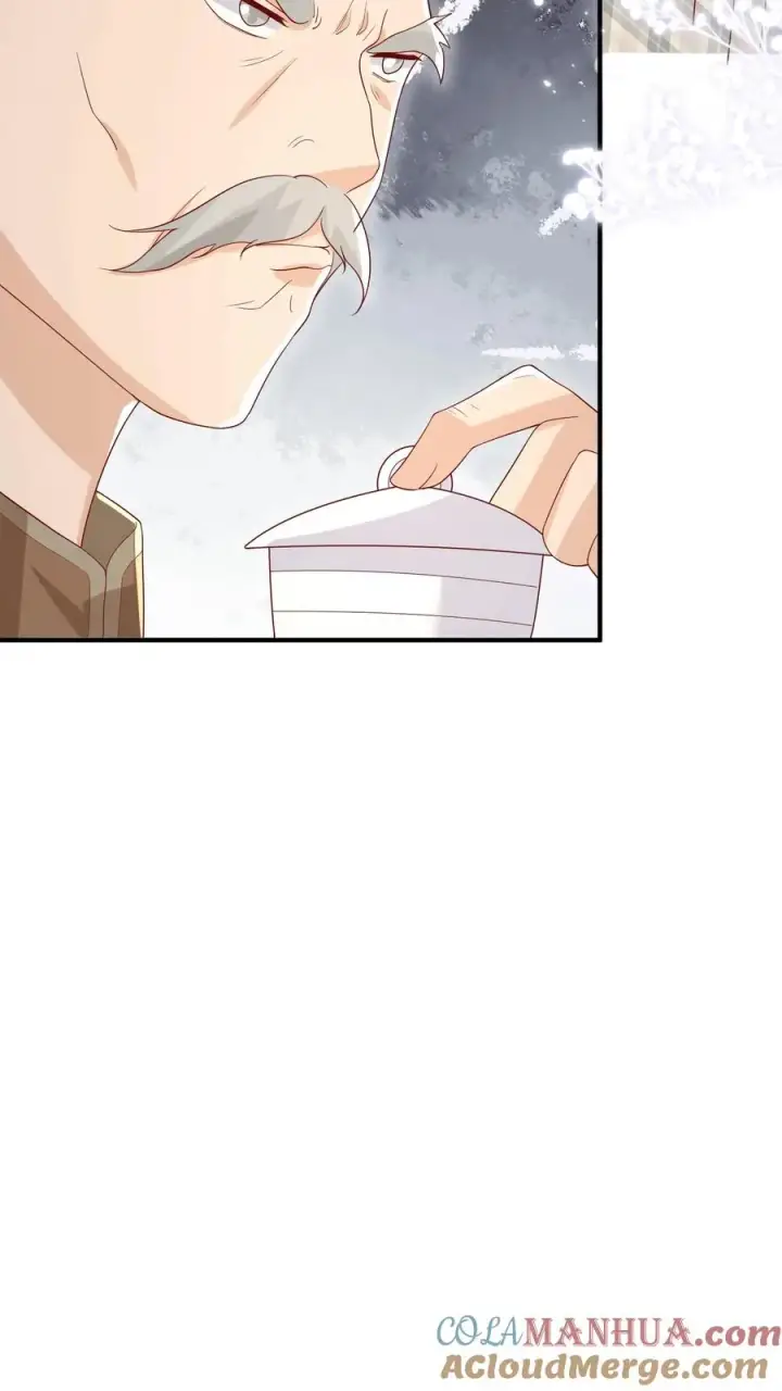 漫画《团宠萌宝：四岁小师傅下山了》第56话 小白狐灵儿第37张图