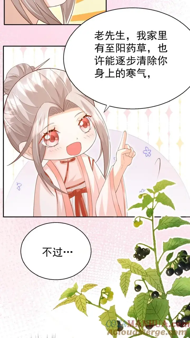 漫画《团宠萌宝：四岁小师傅下山了》第63话 被大佬惦记第15张图