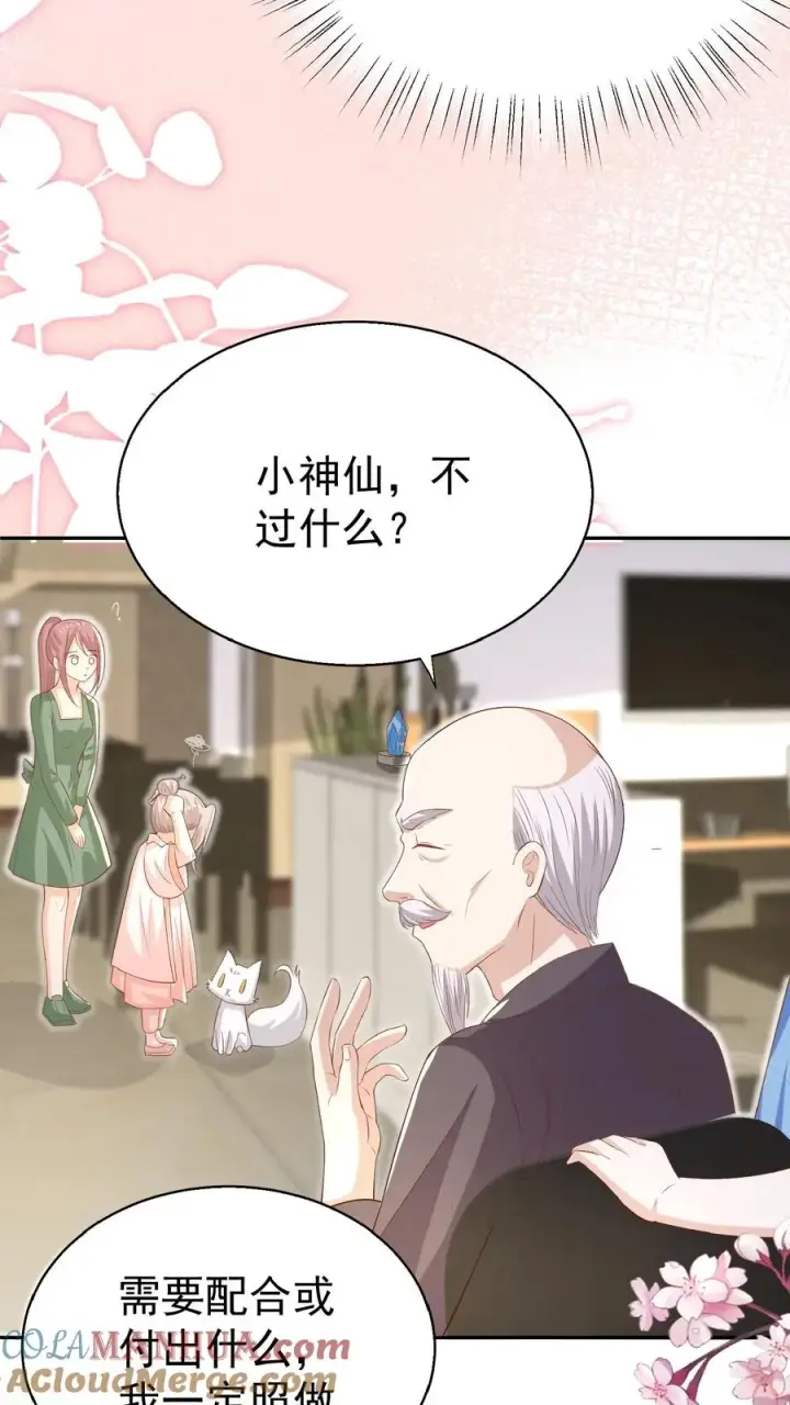 漫画《团宠萌宝：四岁小师傅下山了》第63话 被大佬惦记第17张图