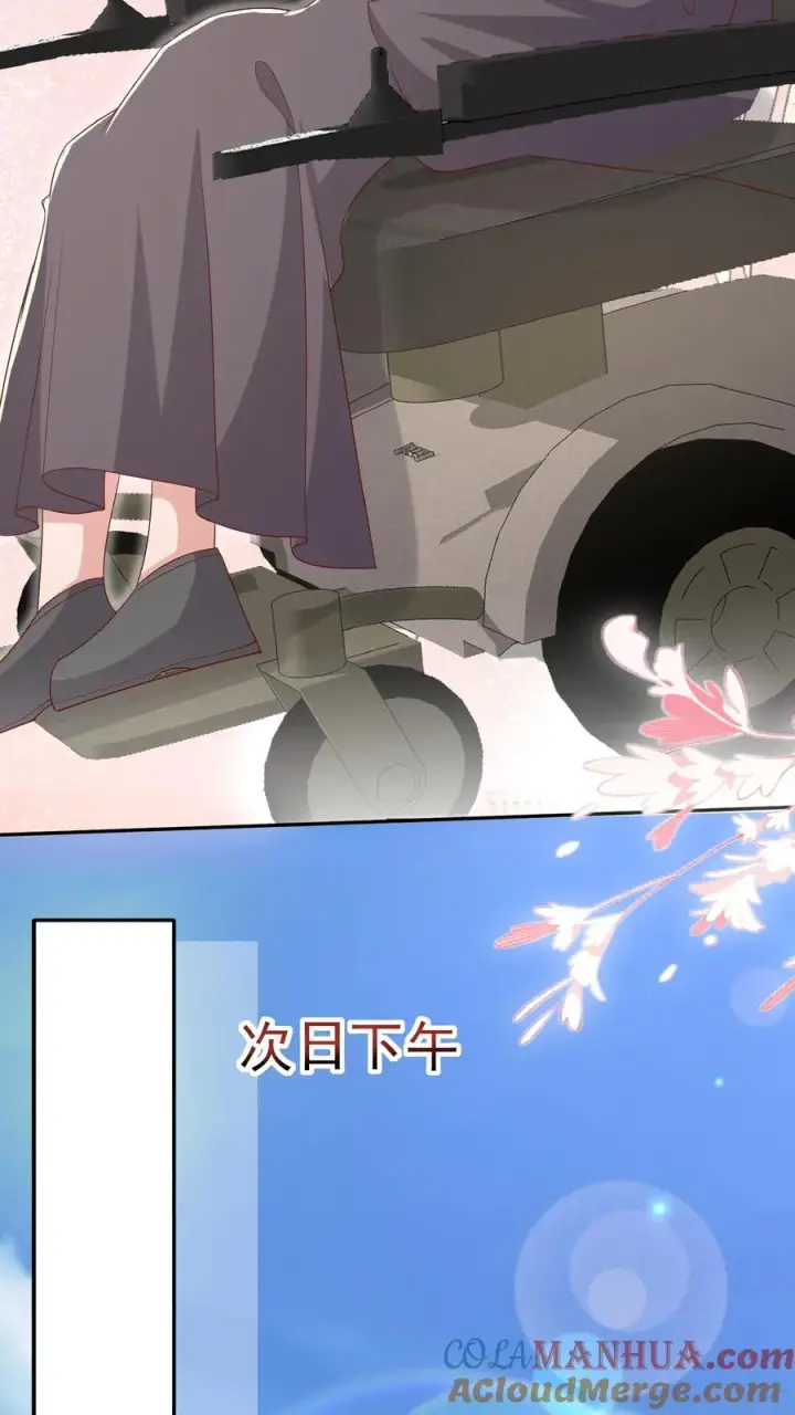 漫画《团宠萌宝：四岁小师傅下山了》第63话 被大佬惦记第25张图