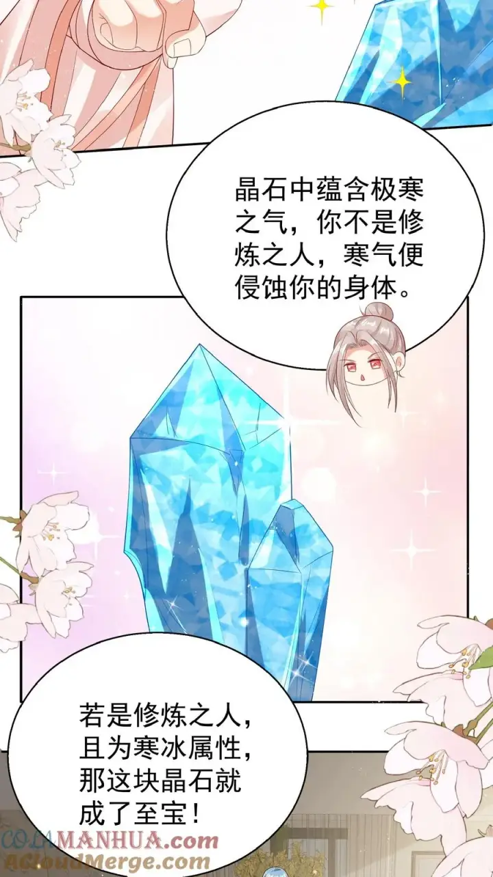 漫画《团宠萌宝：四岁小师傅下山了》第63话 被大佬惦记第3张图